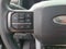 2025 Ford F-250SD Platinum