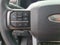 2025 Ford F-250SD Platinum