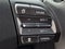 2021 Hyundai Ioniq Electric Limited